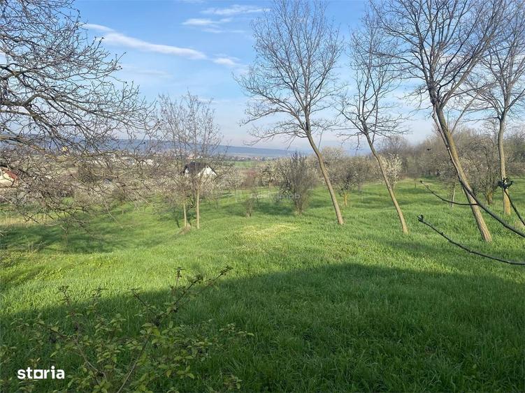 Teren cu suprafata generoasa, situat in zona linistita, la 15 minute d - 1