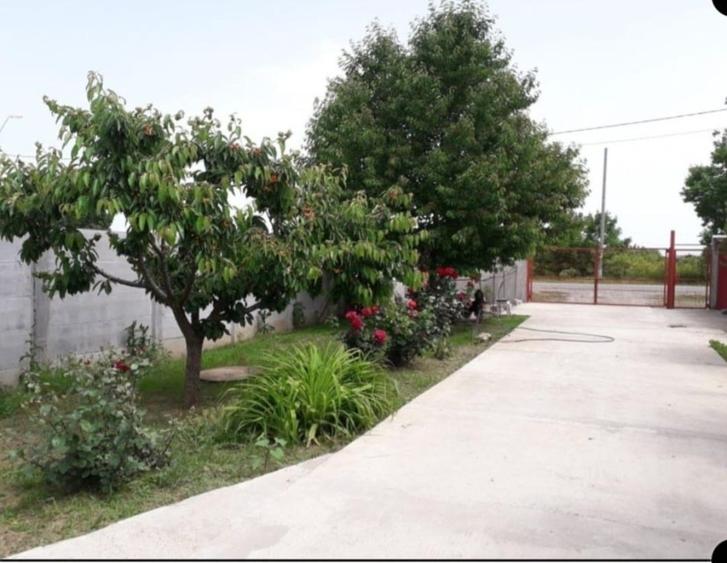 Casă cu 4 camere cu Teren 4200 Mp în Adunații-Copăceni