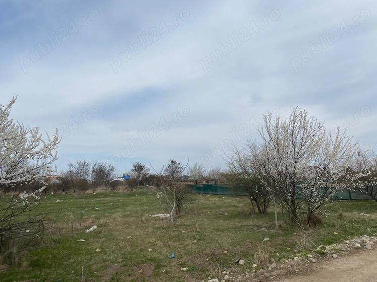 Teren de 937 mp, în Tamași