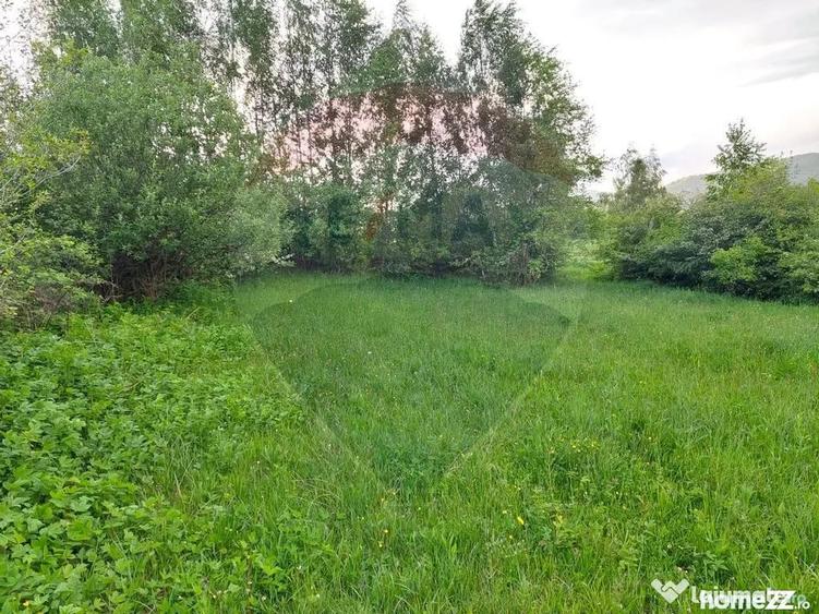 Teren în Tohănița