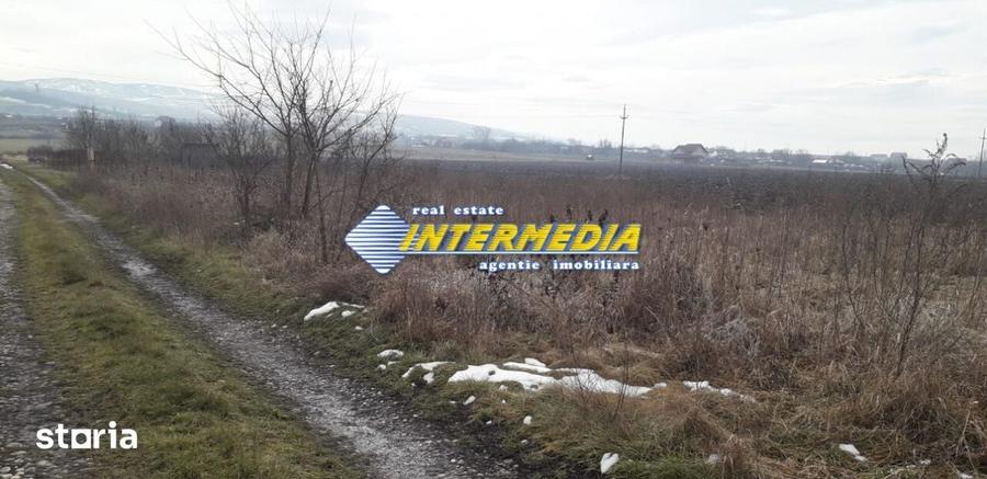 Teren pentru cabana de vanzare 500 mp Alba Iulia - 3