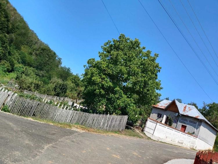 Casă cu 2 camere în Bujoi