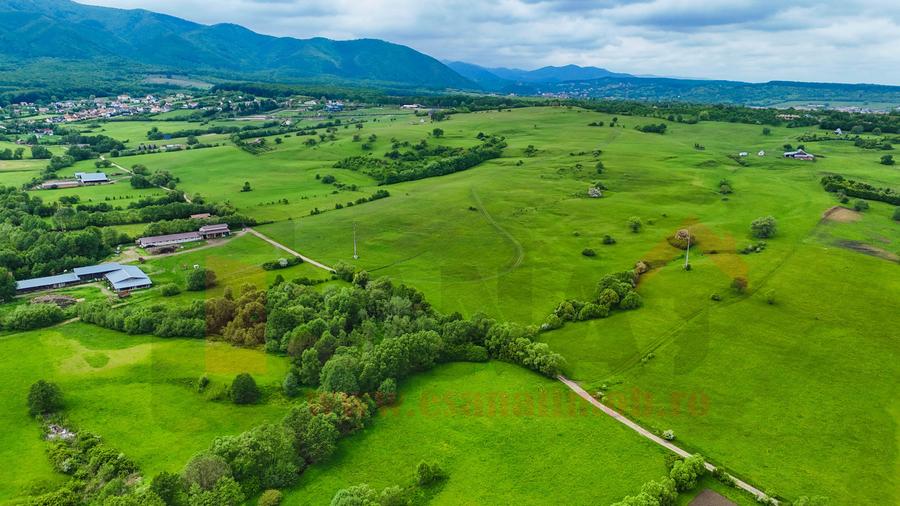Teren extravilan de 7256 mp, în Sadu