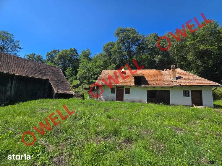 Casă cu 4 camere cu Teren 7618 Mp în Belin