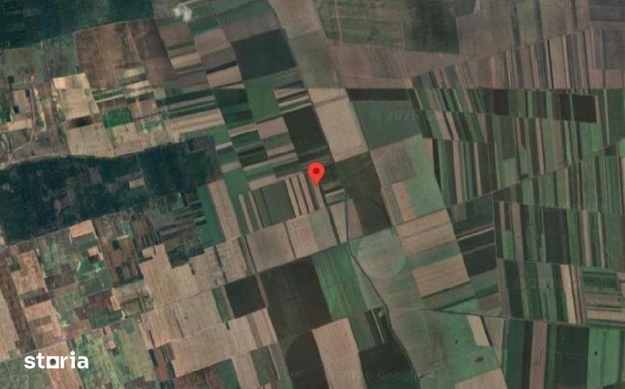 Teren de 5000 mp, în Umbrărești