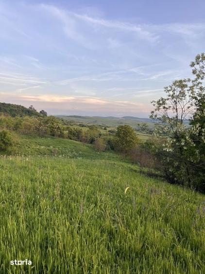 Teren de 11000 mp, în Brădeni