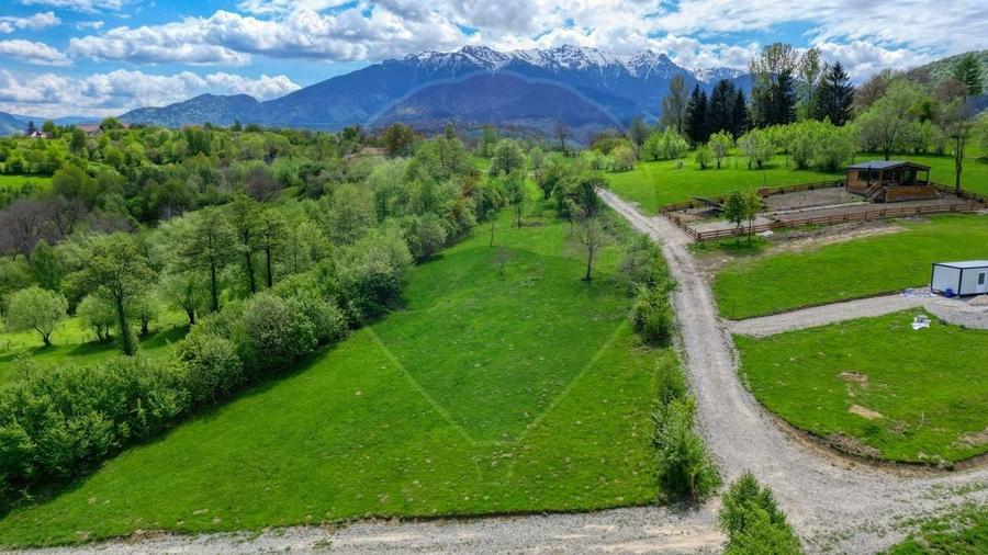 Teren Construcții intravilan de 500 mp, în Tohănița