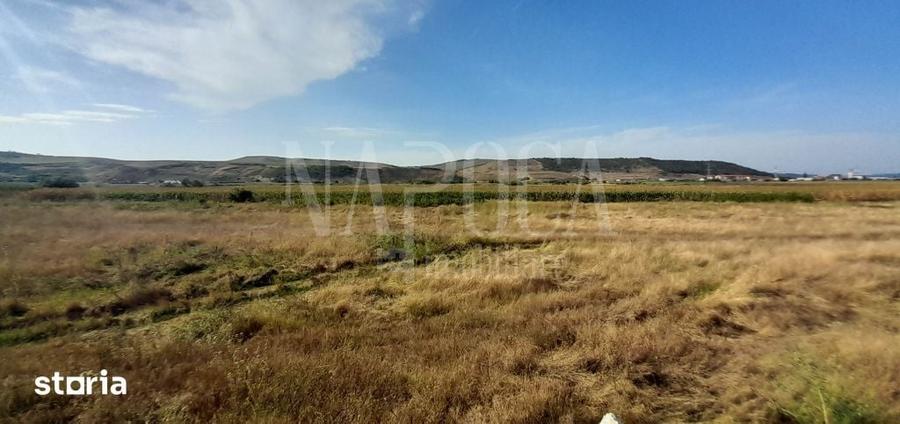 Teren de 9900 mp, în Apahida