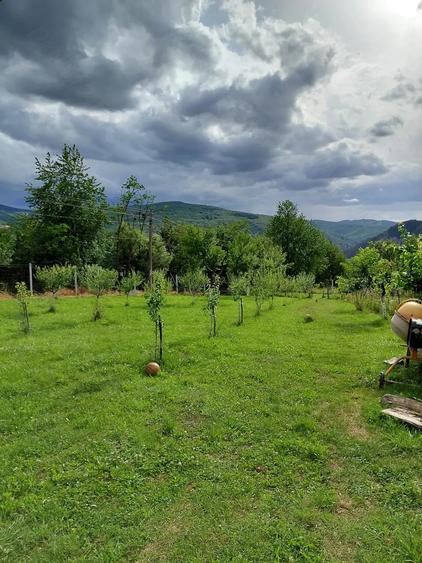 Casă cu 3 camere cu Teren 2931 Mp în Bălnaca
