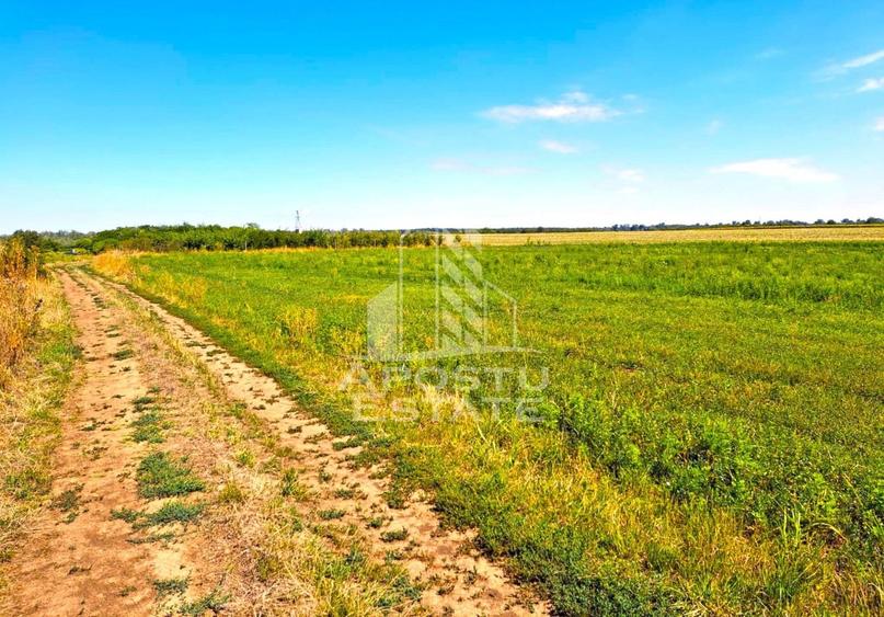 Teren Construcții intravilan de 6150 mp, în Zădăreni