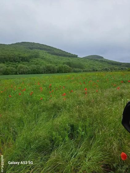 Teren de 900 mp, în Central