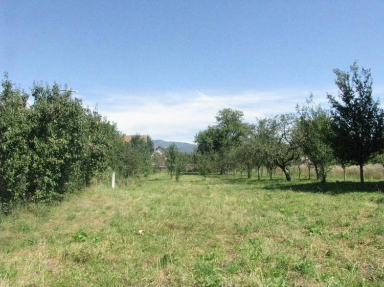 Teren intravilan de 4400 mp, în Prejmer