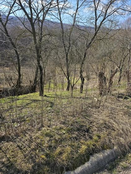 Teren de 600 mp, în Pocreaca