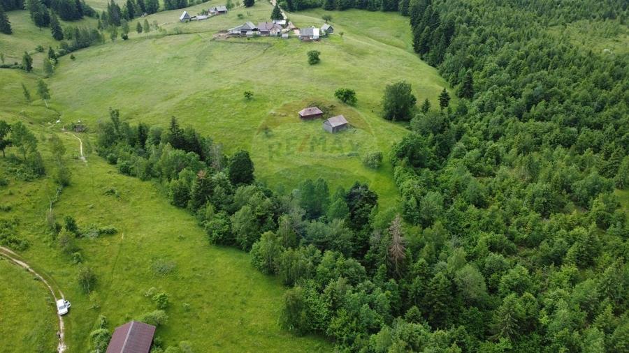 Teren Construcții intravilan de 8119 mp, în Călățele
