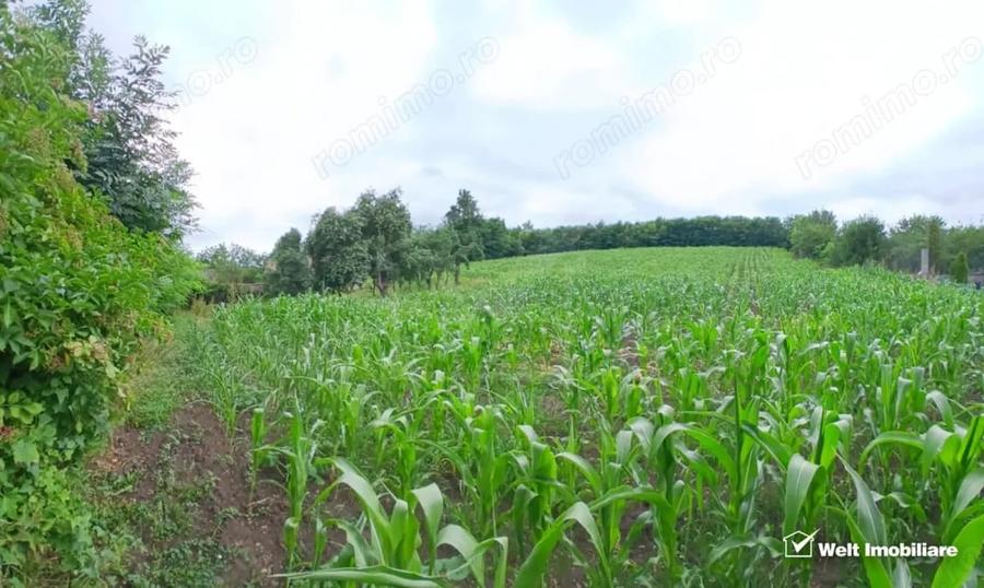 Casă cu Teren 7000 Mp în Cămărașu