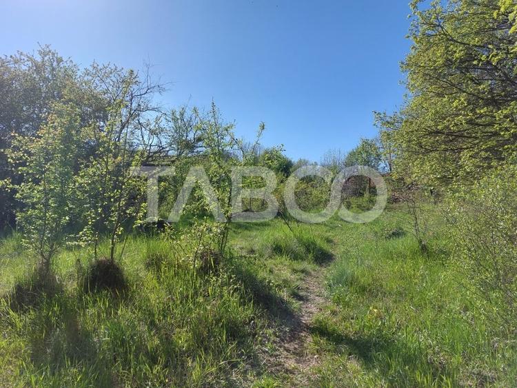 Teren Construcții intravilan de 3445 mp, în Cisnădie