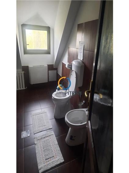 Casă individuală cu 9 camere cu Teren 3000 Mp în Partizani