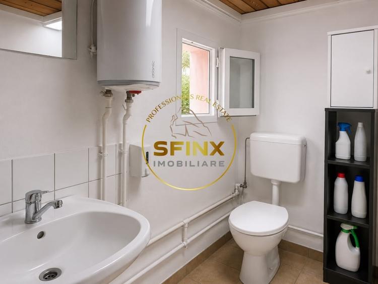 Spațiu industrial, de 103.34999847412 mp, în Theodor Pallady