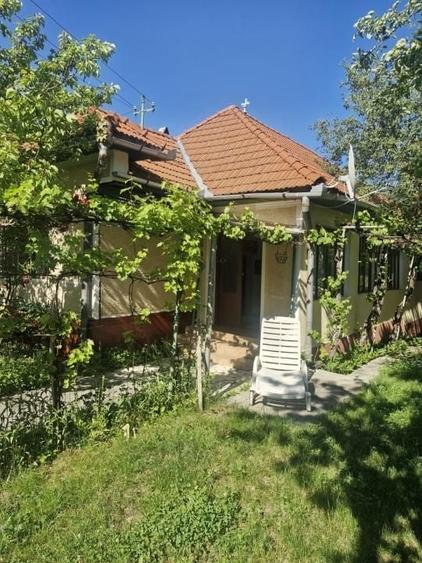 Casă individuală cu 3 camere cu Canalizare în Pianu de Sus