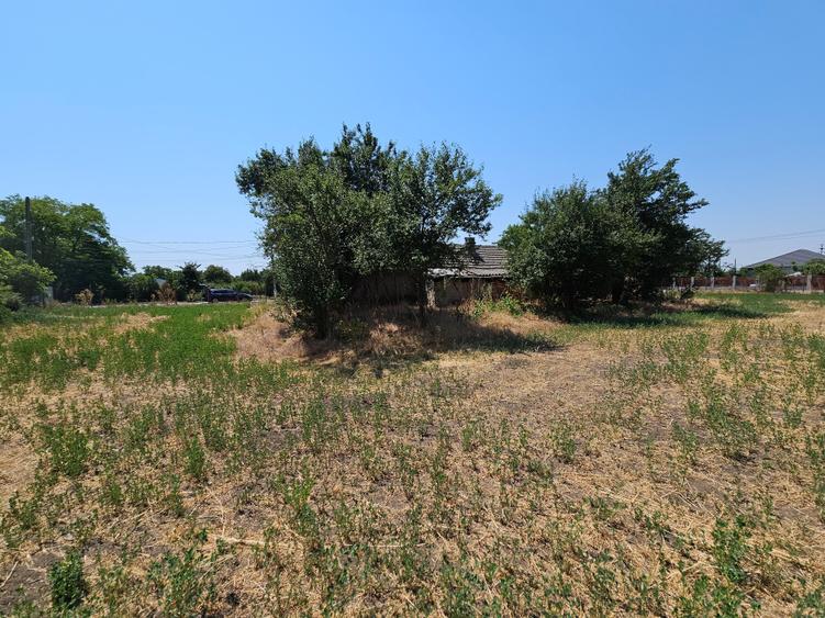 Teren Construcții intravilan de 5465 mp, în Topraisar