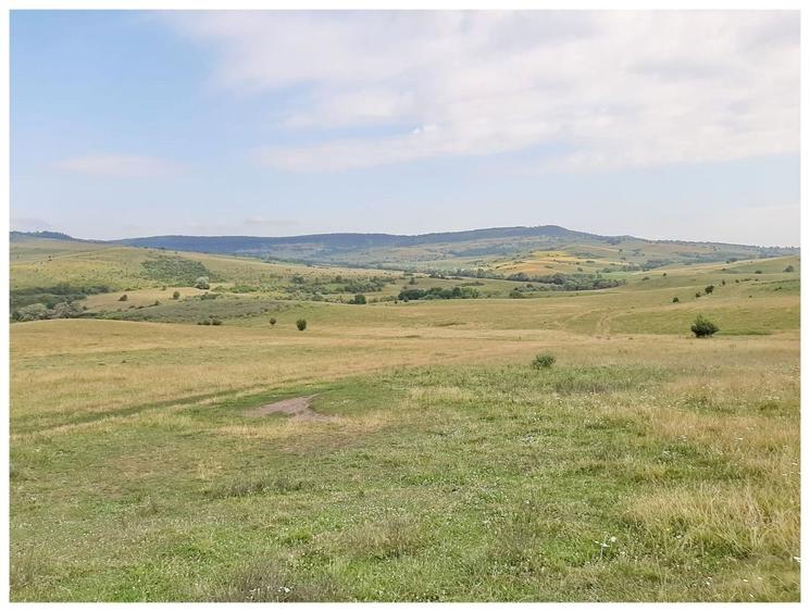 Teren agricol extravilan de 2500000 mp, în Șercaia