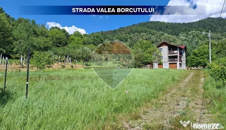 Casă cu 3 camere cu Teren 1594 Mp în Valea Borcutului