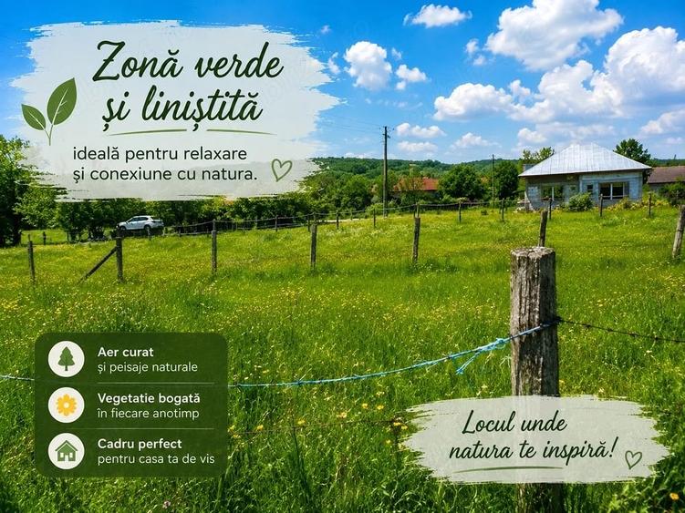 Teren de 4513 mp, în Rugetu (Slătioara)