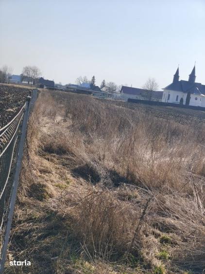 Teren de 3014 mp, în Frătăuții Vechi