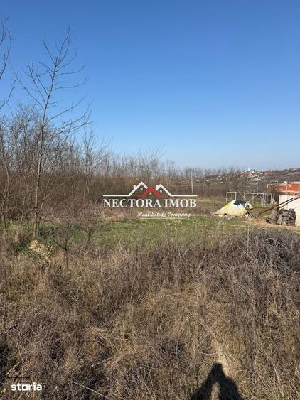 NECTORA IMOB-Teren Intravilan Lac Paleu, 886 mp, Front 27 ml,Utilitati - 9