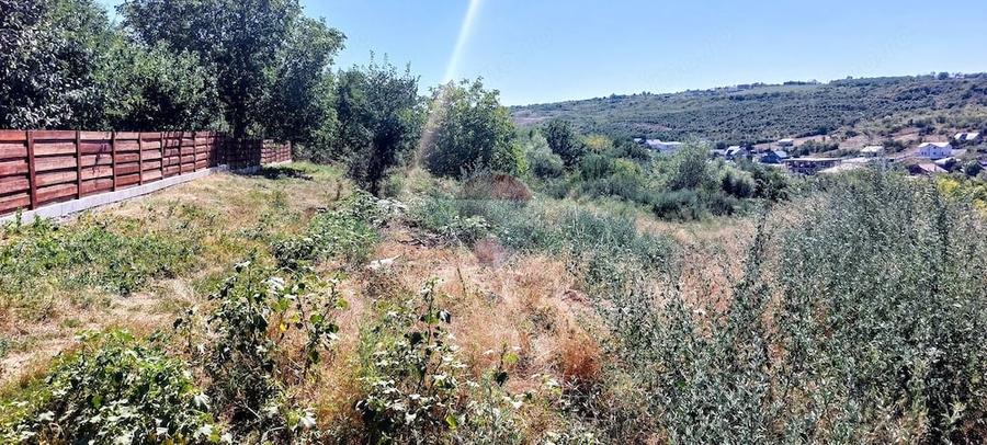 Teren de 915 mp, în Bârnova