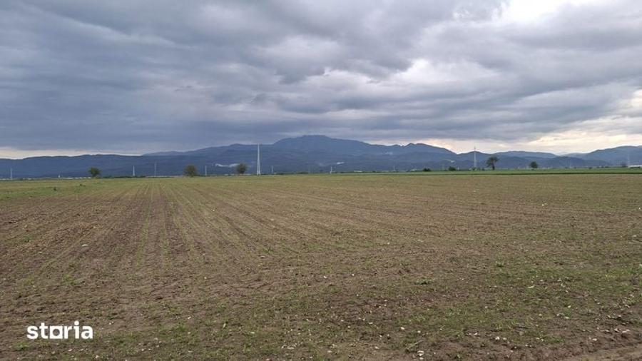 Teren de 1000 mp, în Vulcan