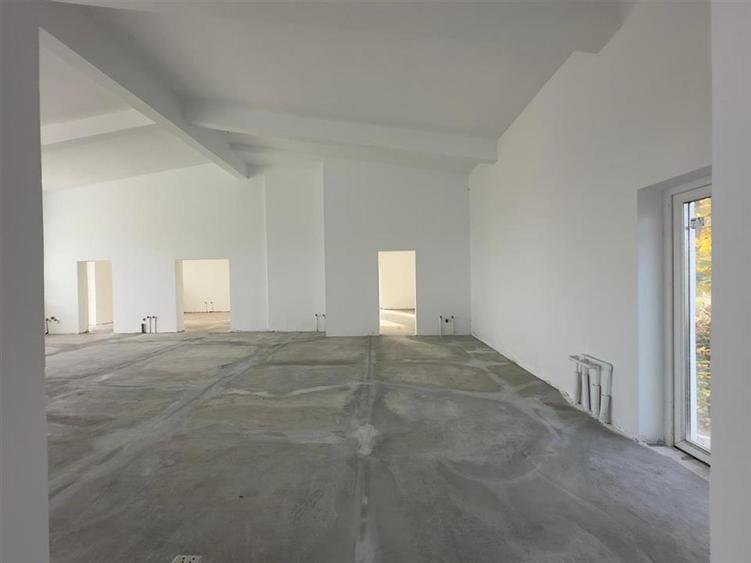 Spațiu comercial, de 202 mp, în Șipote