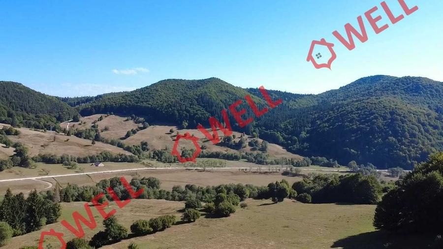 Teren extravilan de 7766 mp, în Dălghiu