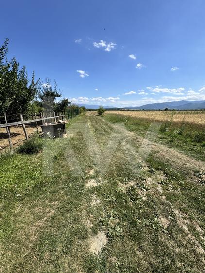Teren agricol extravilan de 720 mp, în Cisnădie