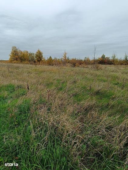 Teren de 2500 mp, în Cobia
