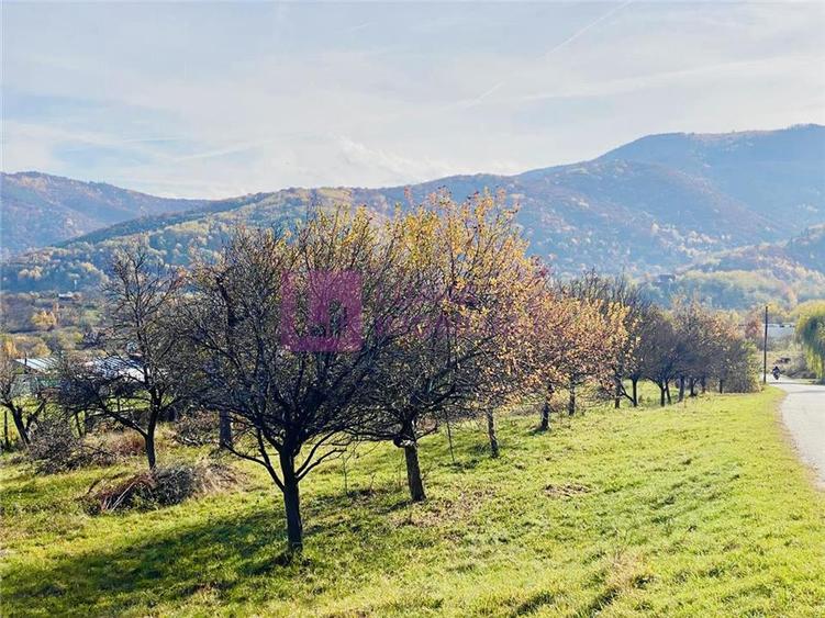 Teren intravilan de 1000 mp, în Sibiel