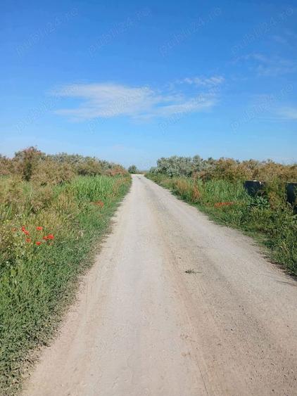Teren de 500 mp, în Central