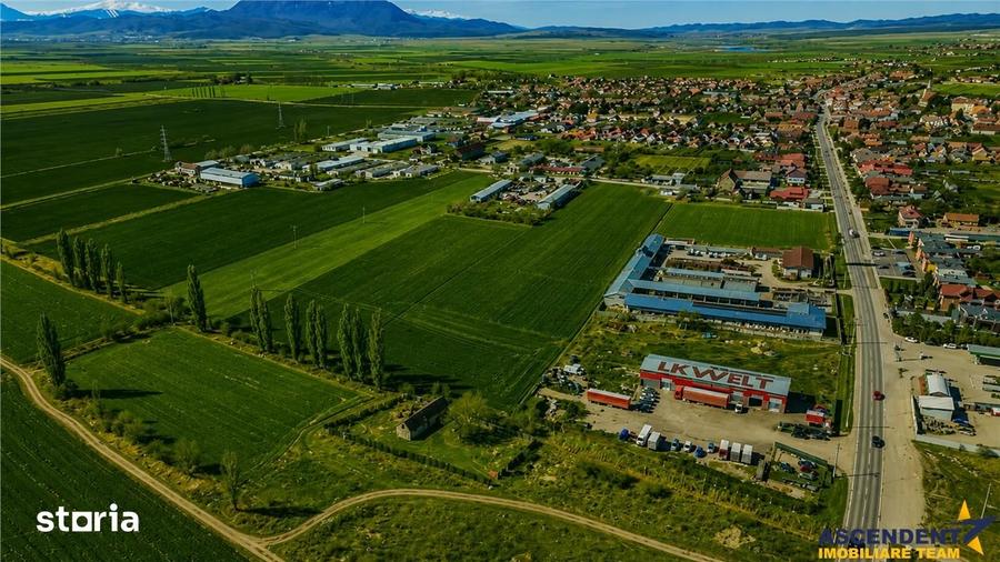 Teren de 10000 mp, în Hălchiu