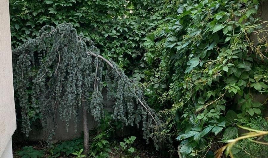 Casă cu 9 camere cu Garaj în Universitate