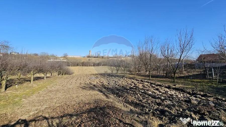 Casă cu 3 camere cu Teren 4900 Mp în Central