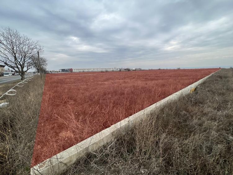 Teren Construcții intravilan de 41000 mp, în Vânători