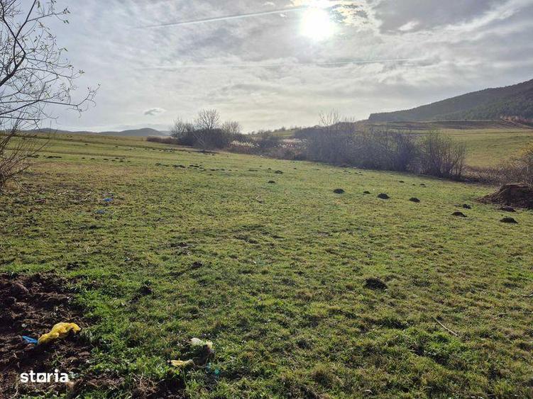 Teren de 1500 mp, în Orlat