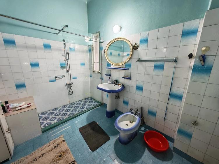 Casă cu 2 camere cu Teren 376 Mp în Elisabetin