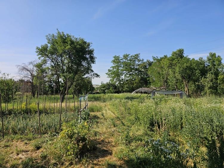 Casă individuală cu 5 camere cu Teren 2500 Mp în Central