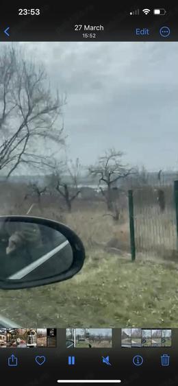 Teren de 10000 mp, în Fălticeni