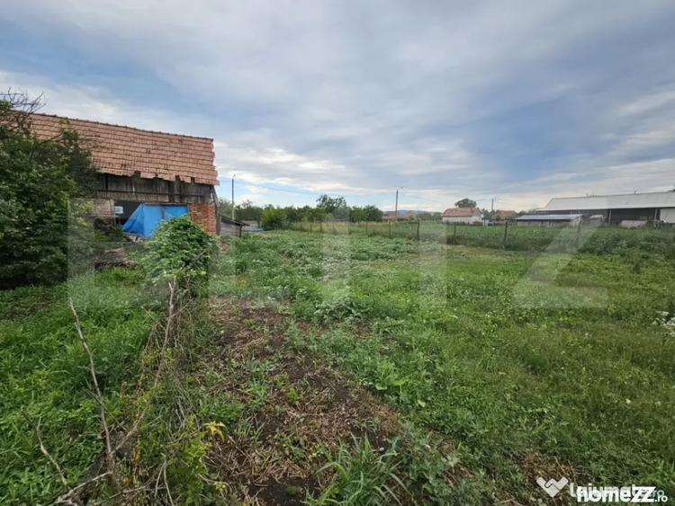 Casă cu 3 camere cu Teren 2698 Mp în Cistei