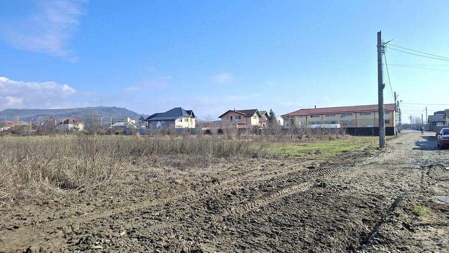 Vanzare Teren intravilan Stefanesti - Primarie str. Campului - 6