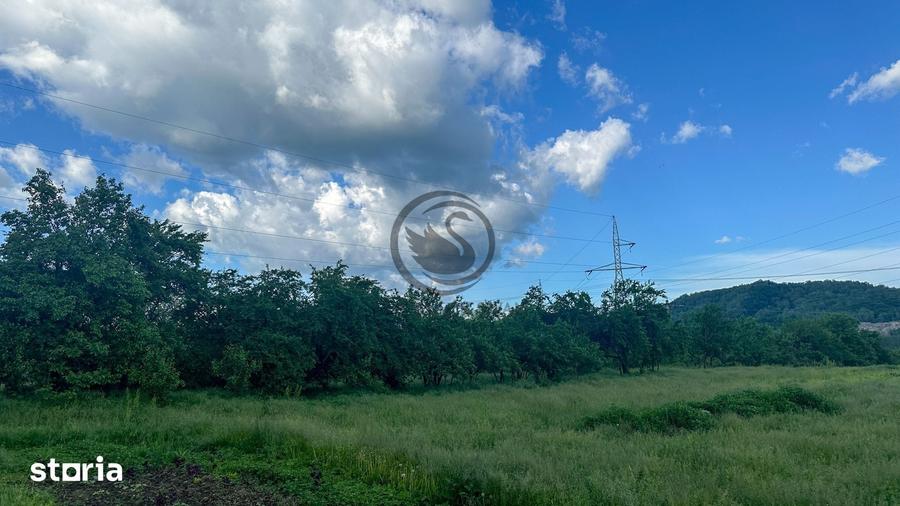 Teren de 3600 mp, în Gura Vitioarei