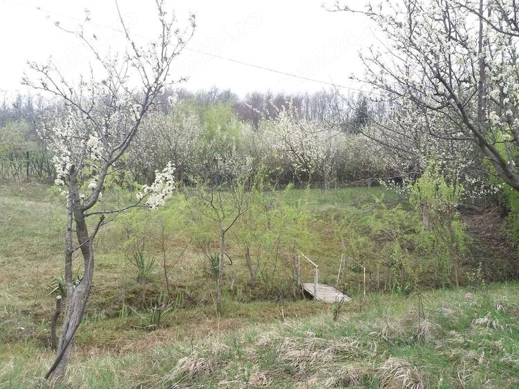 Teren de 1700 mp, în Teișani