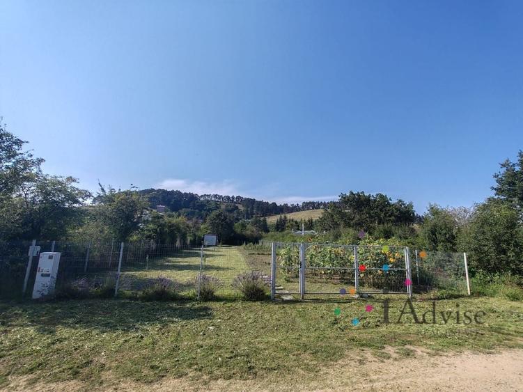 Teren Construcții intravilan de 1019 mp, în Sânpetru
